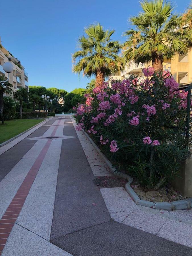 Front Beach Luxury Near Nice Airport Cagnes-sur-Mer Exteriör bild